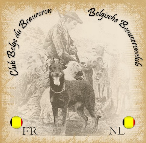 www.beauceronclub.be